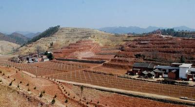 �����1.76���Ŵ���sf