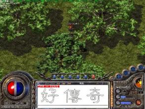 ����������������ȫ