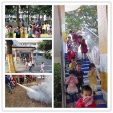 ����ʧ����