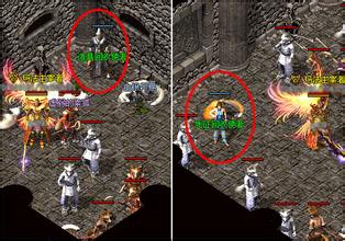 1.76����С��Ʒ����