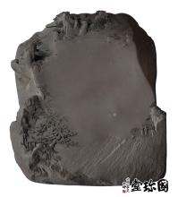 ���ɵ�ְҵ��������