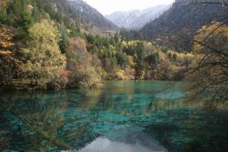 ���ΰ洫���ĸ�����