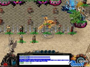 ��Ѫ����1.76��������