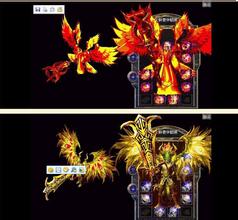 ����������Ƶ