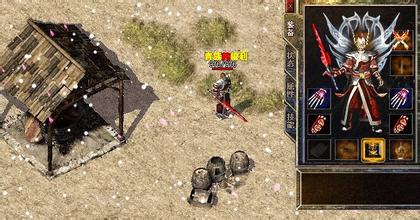 ����˽����ʧ�湥��