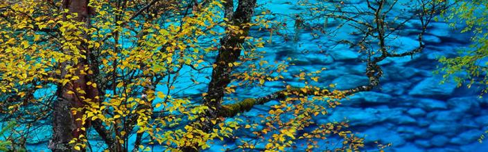 ��ô������Ѫ����