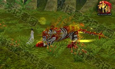 ��Ѫ����ʮ����̿�