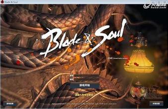 ��Ѫ���湥����Ƶ