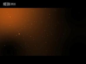 �����¿�����