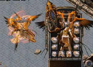 ����1.76���� gmȨ��