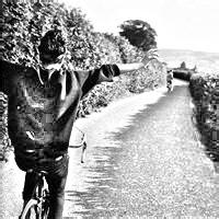 ��̬��Ѫ���浥����