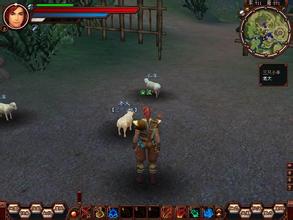 �ֻ���ϻ�����