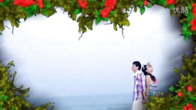 ���������̬װ��