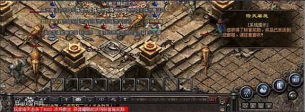 �����¿�