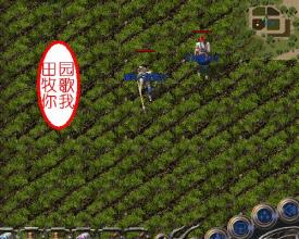 ����1.76���Ŵ���